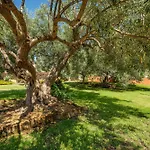 Erica Erica * Villa San Pietro